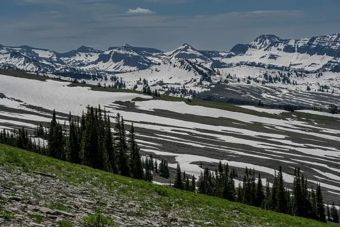 Framed Print : USA, Wyoming. Snowy landscape of early summer, Jedediah Smith Wilderness Framed Print : USA, Wyoming. Snowy landscape of early summer, Jedediah Smith Wilderness