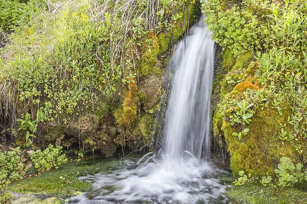 USA, Wyoming, Sublette County. Kendall Warm Springs, a small waterfall flowing over a mossy ledge