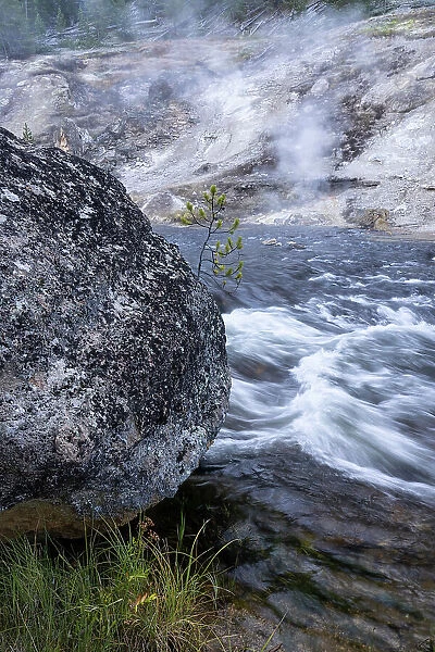 USA, Wyoming. Thermal runoff, rapids, and boulder on the Madison River, Yellowstone National Park