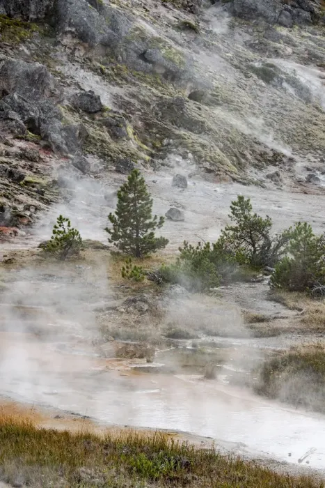 Framed Print : USA, Wyoming. Along the trail, Artists Paintpots, Yellowstone National Park