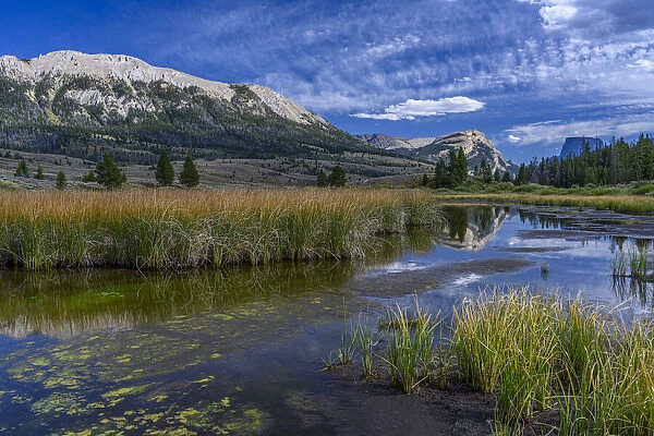 USA, Wyoming. White Rock Mountain and Squaretop Peak above Green River wetland