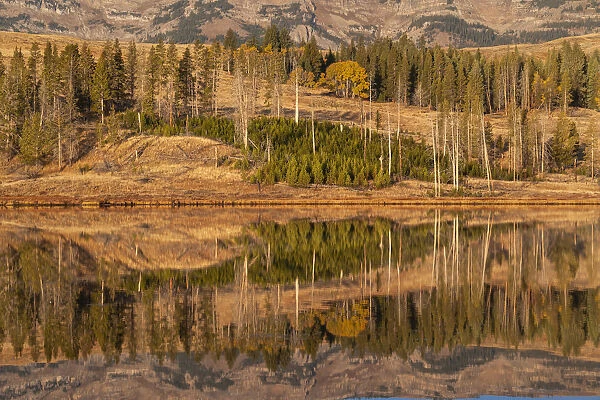 Usa, Wyoming, Yellowstone National Park. Swan Flats in autumn at dawn