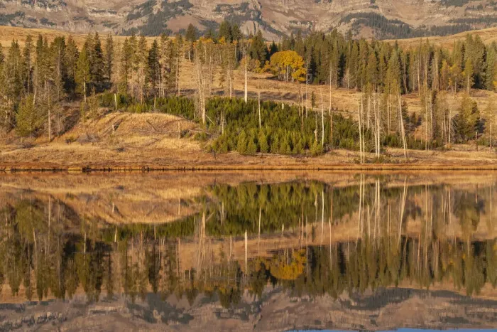 Framed Print : Usa, Wyoming, Yellowstone National Park. Swan Flats in autumn at dawn