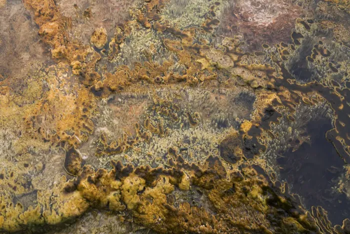 Framed Print : USA, Wyoming, Yellowstone National Park, Black Sand Basin. Microbial mats grow in the warm waters Framed Print : USA, Wyoming, Yellowstone National Park, Black Sand Basin. Microbial mats grow in the warm waters