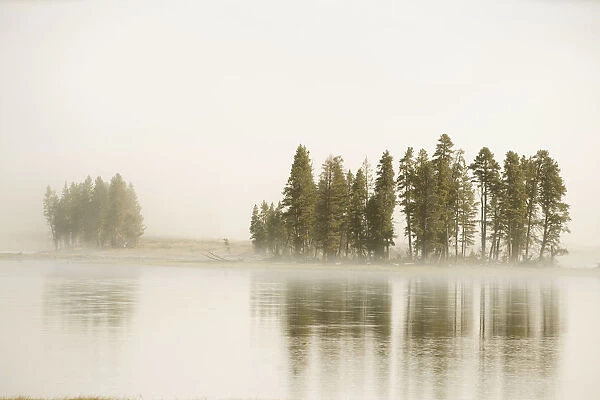 USA, Wyoming, Yellowstone National Park. Morning fog along the Yellowstone River in