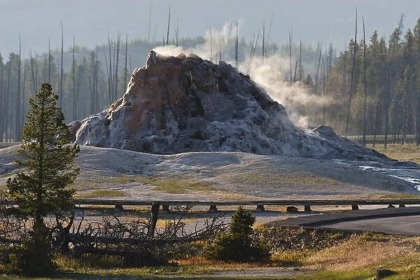USA, Wyoming, Yellowstone National Park, Geyser spewing hot water and steam, June