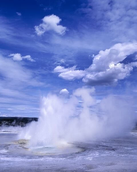 USA, Wyoming, Yellowstone NP. Billowing steam rises from Norris Geysers, Yellowstone NP