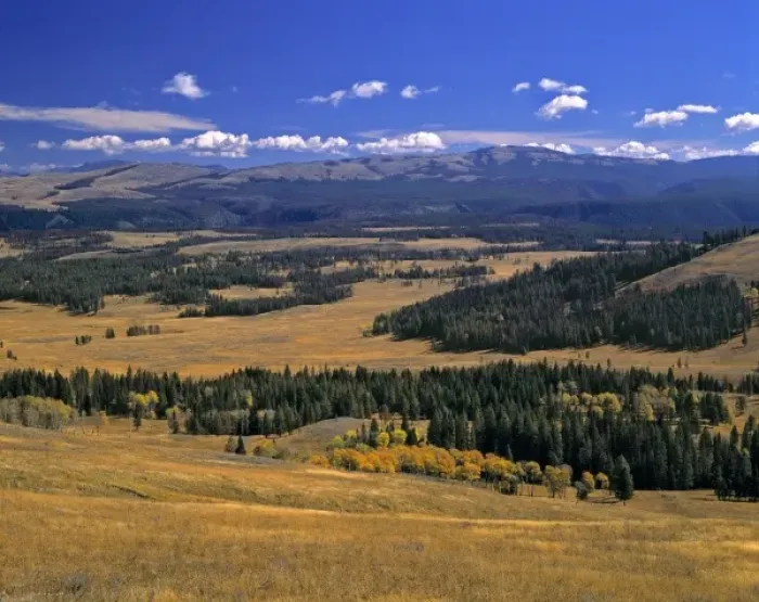 Framed Print : USA, Wyoming, Yellowstone NP. An overview of Yellowstone National Park, a World Heritage Site