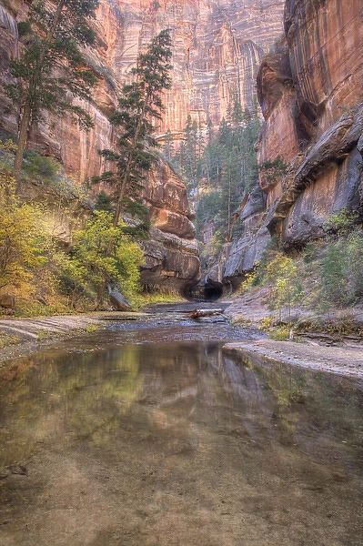 UT, Zion National Park, Left Fork of North Creek, at the Subway