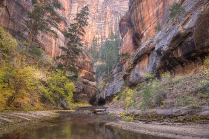 Framed Print : UT, Zion National Park, Left Fork of North Creek, at the Subway