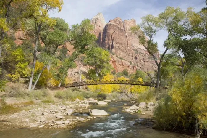 Framed Print : UT, Zion National Park, Zion Canyon, Virgin River, with colorful Cottonwood trees Framed Print : UT, Zion National Park, Zion Canyon, Virgin River, with colorful Cottonwood trees