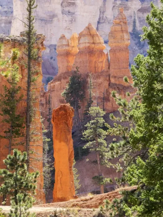 Framed Print : Utah, Bryce Canyon National Park, Bryce Canyon and Hoodoos along Peekaboo Loop Trail Framed Print : Utah, Bryce Canyon National Park, Bryce Canyon and Hoodoos along Peekaboo Loop Trail
