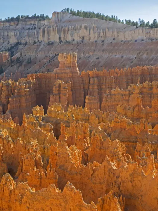 Framed Print : Utah, Bryce Canyon National Park. View of canyon with hoodoos