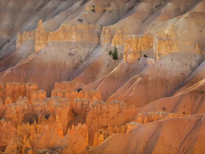 Framed Print : Utah, Bryce Canyon National Park. View of canyon with hoodoos Framed Print : Utah, Bryce Canyon National Park. View of canyon with hoodoos