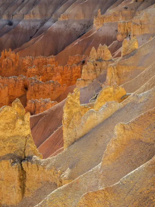 Framed Print : Utah, Bryce Canyon National Park. View of canyon with hoodoos Framed Print : Utah, Bryce Canyon National Park. View of canyon with hoodoos