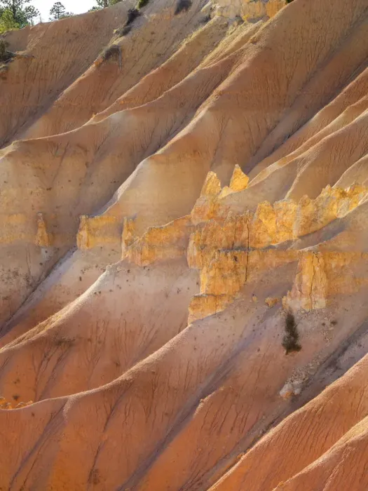 Framed Print : Utah, Bryce Canyon National Park. View of canyon with hoodoos