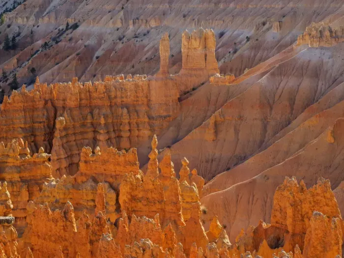 Framed Print : Utah, Bryce Canyon National Park. View of canyon with hoodoos Framed Print : Utah, Bryce Canyon National Park. View of canyon with hoodoos