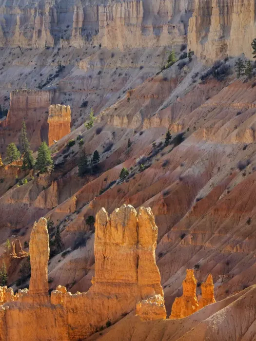 Framed Print : Utah, Bryce Canyon National Park. View of canyon with hoodoos Framed Print : Utah, Bryce Canyon National Park. View of canyon with hoodoos