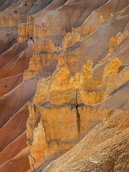 Utah, Bryce Canyon National Park. View of canyon with hoodoos