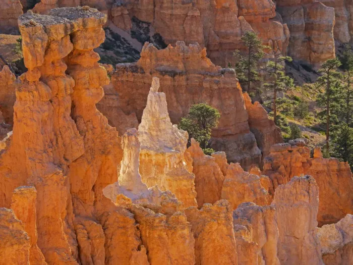 Framed Print : Utah, Bryce Canyon National Park. Queens Garden, Queen Victoria formation Framed Print : Utah, Bryce Canyon National Park. Queens Garden, Queen Victoria formation