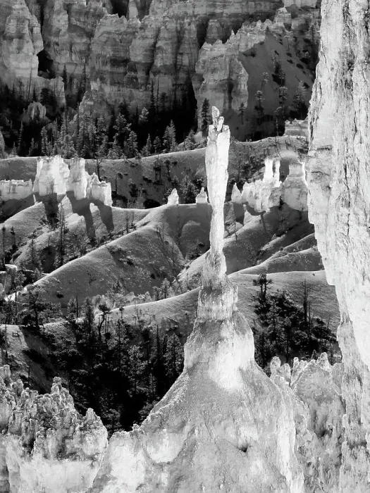 Framed Print : Utah, Bryce Canyon National Park. The Sentinel Framed Print : Utah, Bryce Canyon National Park. The Sentinel