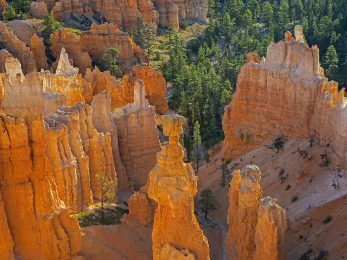 Framed Print : Utah, Bryce Canyon National Park. Thors Hammer Framed Print : Utah, Bryce Canyon National Park. Thors Hammer