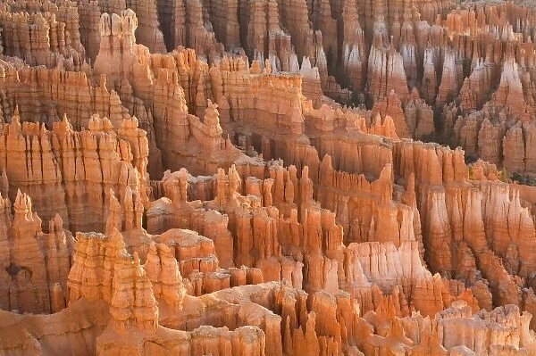 Utah, Bryce Canyon NP, Bryce Canyon from Inspiration Point