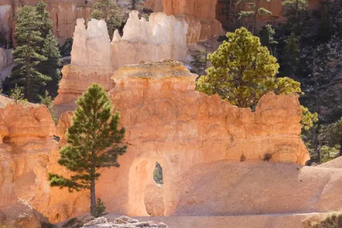 Framed Print : Utah, Bryce Canyon NP, Hoodoos along the Peekaboo Loop Trail
