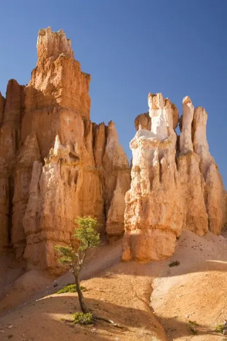 Framed Print : Utah, Bryce Canyon NP, Hoodoos along the Peekaboo Loop Trail