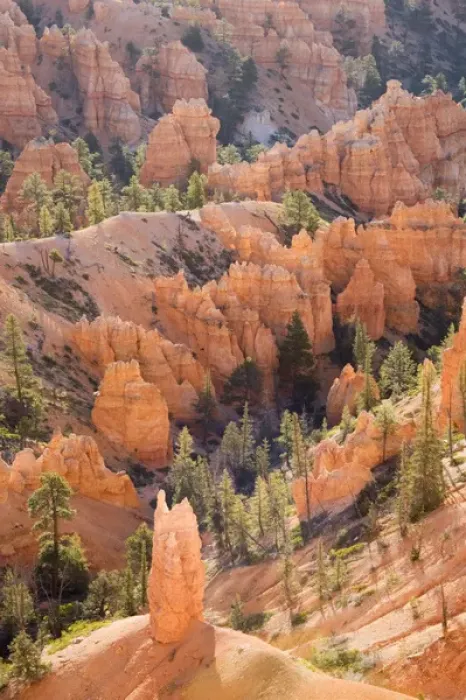 Framed Print : Utah, Bryce Canyon NP, Queens Garden