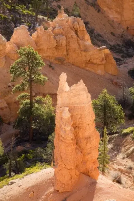 Framed Print : Utah, Bryce Canyon NP, Queens Garden Framed Print : Utah, Bryce Canyon NP, Queens Garden