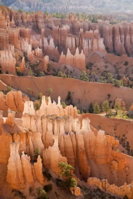 Framed Print : Utah, Bryce Canyon NP, Queens Garden Framed Print : Utah, Bryce Canyon NP, Queens Garden