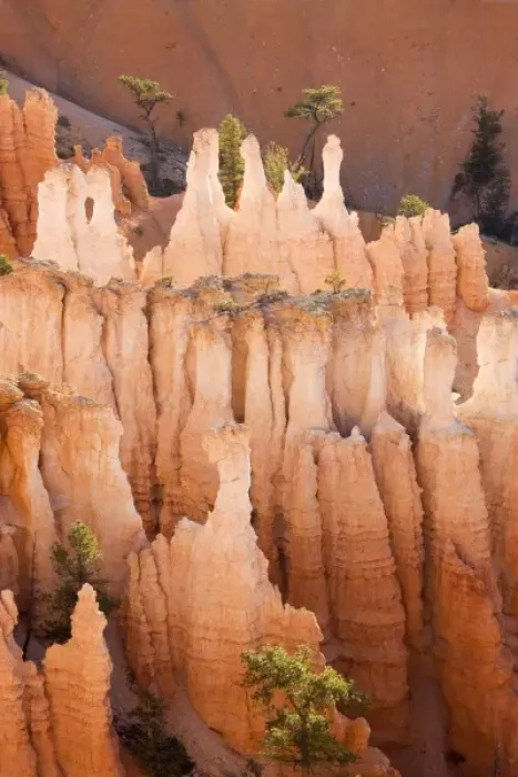 Framed Print : Utah, Bryce Canyon NP, Queens Garden Framed Print : Utah, Bryce Canyon NP, Queens Garden