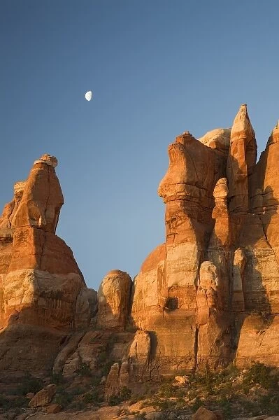 Utah, Canyonlands NP, The Needles, Moon setting over rock pinnacles at Chesler Park