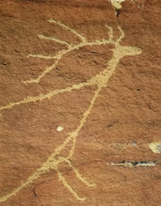 Framed Print : UTAH. USA. Detail, prehistoric petroglyph of elk. Uinta Basin. Fremont Culture Framed Print : UTAH. USA. Detail, prehistoric petroglyph of elk. Uinta Basin. Fremont Culture
