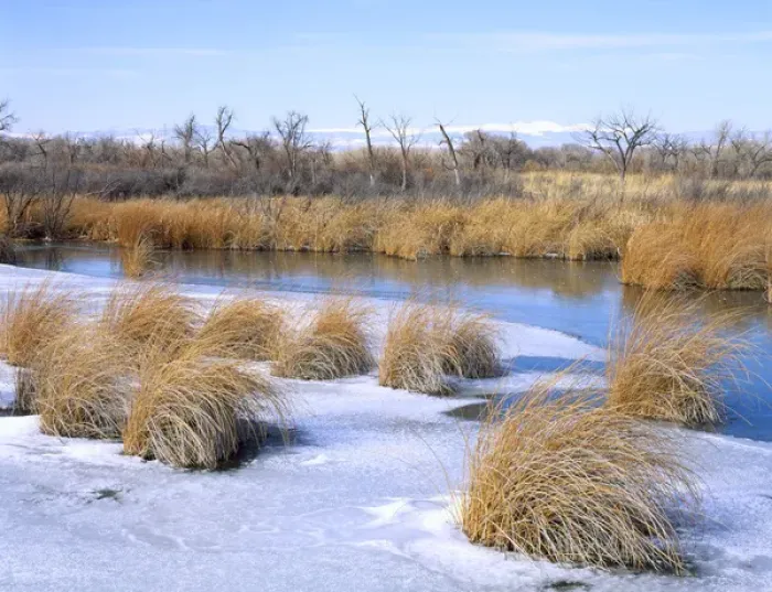 Framed Print : UTAH. USA. Frozen slough along Duchesne River in winter. Uinta Basin Framed Print : UTAH. USA. Frozen slough along Duchesne River in winter. Uinta Basin