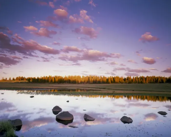 Framed Print : UTAH. USA. Grass Lake at sunset. Boulder Top. Boulder Mountain. Dixie National Forest Framed Print : UTAH. USA. Grass Lake at sunset. Boulder Top. Boulder Mountain. Dixie National Forest