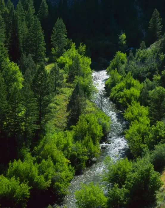 Framed Print : UTAH. USA. Logan River in Logan Canyon, Bear River Range. Wasatch-Cache National Forest