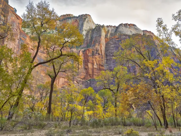 Framed Print : Utah, Zion National Park Framed Print : Utah, Zion National Park