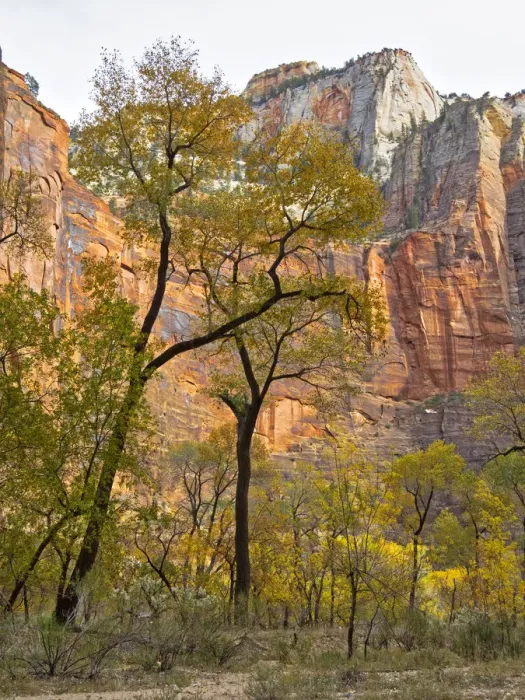 Framed Print : Utah, Zion National Park Framed Print : Utah, Zion National Park