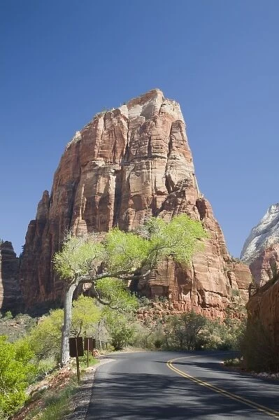 Utah, Zion National Park, Angels Landing, towers 1488 feet above the canyon floor