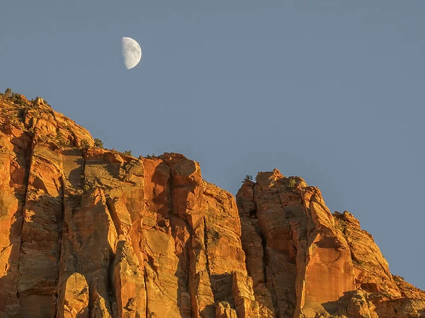 Utah, Zion National Park, Moon over The Watchman