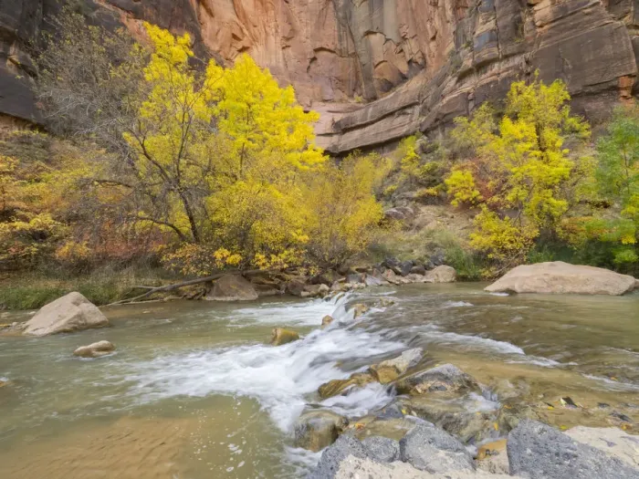 Framed Print : Utah, Zion National Park, Virgin River Framed Print : Utah, Zion National Park, Virgin River