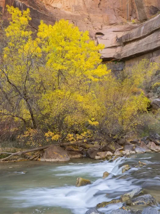 Framed Print : Utah, Zion National Park, Virgin River