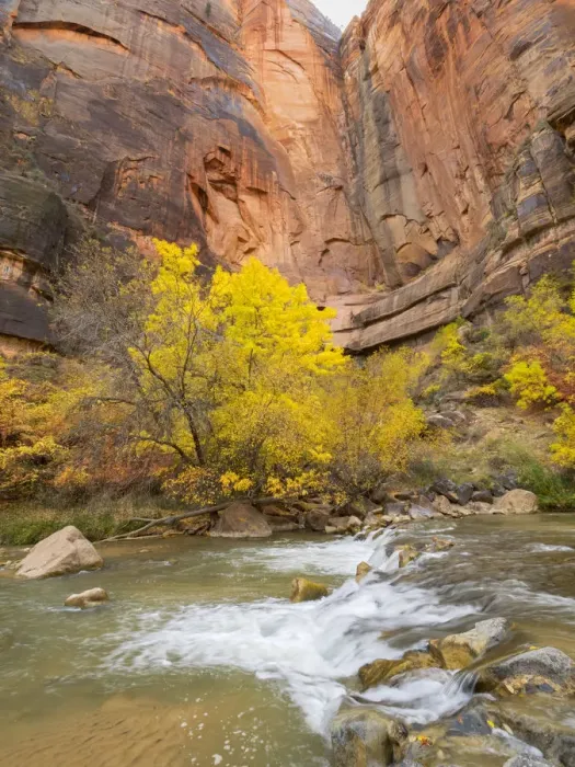 Framed Print : Utah, Zion National Park, Virgin River Framed Print : Utah, Zion National Park, Virgin River