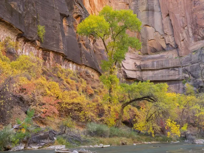 Framed Print : Utah, Zion National Park, Virgin River