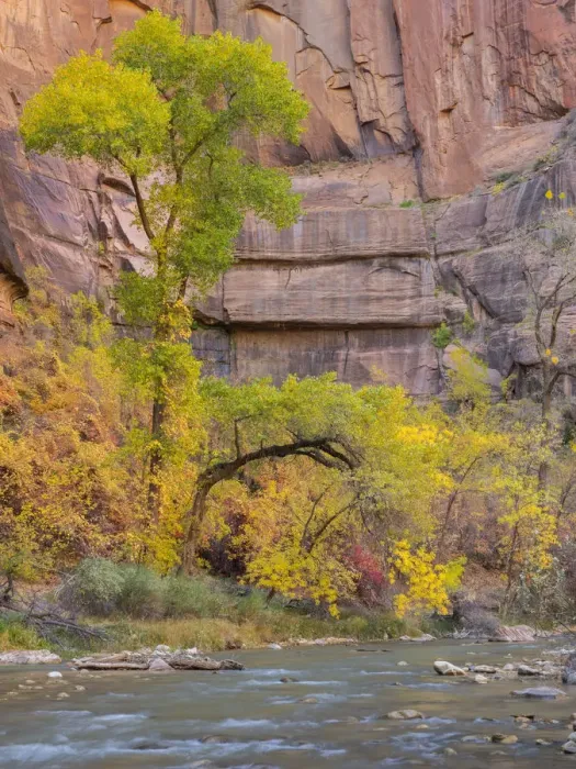 Framed Print : Utah, Zion National Park, Virgin River