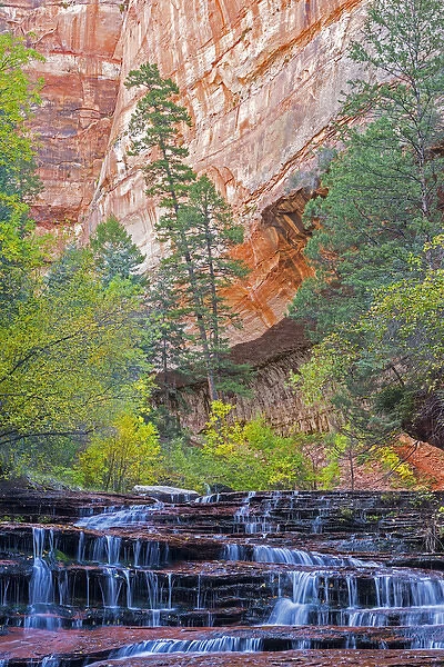 Utah, Zion National Park, water cascading through Left Fork of North Creek