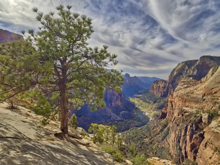 Framed Print : Utah, Zion National Park, Zion Canyon, view from Angels Landing Framed Print : Utah, Zion National Park, Zion Canyon, view from Angels Landing