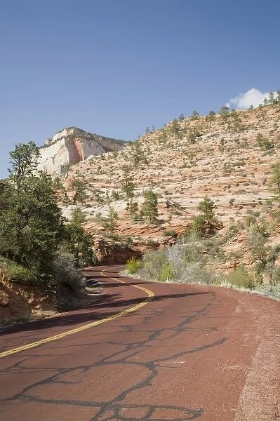 Utah, Zion National Park, Zion-Mount Carmel Highway, eastern area of the park